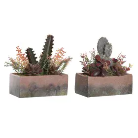 Plante décorative DKD Home Decor 19 x 9 x 22 cm Rose Orange Cactus Feuille de Mousse polypropylène (2 Unités) de DKD Home Dec...