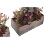 Pianta Decorativa DKD Home Decor 19 x 9 x 22 cm Rosa Arancio Cactus Gomma Eva polipropilene (2 Unità) di DKD Home Decor, Pian...