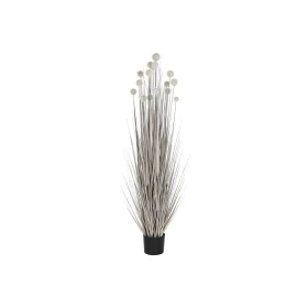 Plante décorative DKD Home Decor Pompons (45 x 45 x 150 cm) de DKD Home Decor, Plantes artificielles - Réf : S3043431, Prix :...