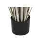 Plante décorative DKD Home Decor Joncs (35 x 35 x 120 cm) de DKD Home Decor, Plantes artificielles - Réf : S3043436, Prix : 3...