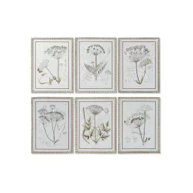 Cuadro DKD Home Decor Moderno Plantas botánicas 45 x 2,5 x 60 cm (6 Unidades) de DKD Home Decor, Impresiones sobre lienzo - R...