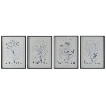 Cadre DKD Home Decor Moderne Plantes botaniques 45 x 2,5 x 60 cm (4 Unités) de DKD Home Decor, Impressions sur toile - Réf : ...