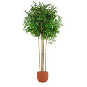 Árbol Home ESPRIT Poliéster Bambú 80 x 80 x 180 cm de Home ESPRIT, Árboles - Ref: S3054445, Precio: 101,99 €, Descuento: %