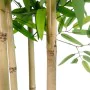 Tree Home ESPRIT Polyester Bamboo 80 x 80 x 180 cm by Home ESPRIT, Artificial Trees - Ref: S3054445, Price: 114,85 €, Discoun...