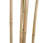 Tree Home ESPRIT Polyester Bamboo 80 x 80 x 180 cm by Home ESPRIT, Artificial Trees - Ref: S3054445, Price: 114,85 €, Discoun...