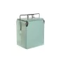 Frigo Portatile Home ESPRIT Verde PVC Metallo Acciaio polipropilene 17 L 32 x 24 x 43 cm di Home ESPRIT, Frigoriferi - Rif: S...