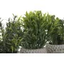 Decorative Plant Home ESPRIT Polyethylene Cement Buddha 10 x 10 x 21 cm (3 Units) by Home ESPRIT, Artificial Plants - Ref: S3...