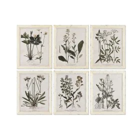 Bild Home ESPRIT Shabby Chic Botanische Pflanzen 40 x 1,5 x 50 cm (6 Stück) von Home ESPRIT, Leinwanddrucke - Ref: S3055706, ...