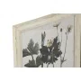 Painting Home ESPRIT Shabby Chic Botanical plants 40 x 1,5 x 50 cm (6 Units) by Home ESPRIT, Prints on Canvas - Ref: S3055706...