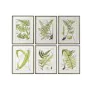 Painting Home ESPRIT Modern Fern 50 x 2,5 x 65 cm (6 Units) by Home ESPRIT, Prints on Canvas - Ref: S3055708, Price: 274,57 €...