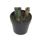 Plante décorative Home ESPRIT PVC 80 x 80 x 100 cm de Home ESPRIT, Plantes artificielles - Réf : S3055747, Prix : 43,34 €, Re...