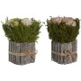 Plante décorative Home ESPRIT Fleur 18 x 18 x 24 cm (2 Unités) de Home ESPRIT, Plantes artificielles - Réf : S3056959, Prix :...