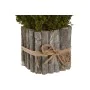 Plante décorative Home ESPRIT Fleur 18 x 18 x 24 cm (2 Unités) de Home ESPRIT, Plantes artificielles - Réf : S3056959, Prix :...