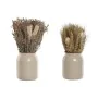 Plante décorative Home ESPRIT Fleur 13 x 13 x 25 cm (2 Unités) (12 Unités) de Home ESPRIT, Plantes artificielles - Réf : S305...