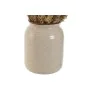 Planta Decorativa Home ESPRIT Flor 13 x 13 x 25 cm (2 Unidades) (12 Unidades) de Home ESPRIT, Plantas - Ref: S3056960, Precio...