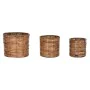 Set de pots de fleurs Home ESPRIT Marron Métal Rotin Tropical 31 x 31 x 27 cm de Home ESPRIT, Cache-pots - Réf : S3057080, Pr...