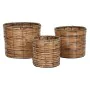 Set de pots de fleurs Home ESPRIT Marron Métal Rotin Tropical 31 x 31 x 27 cm de Home ESPRIT, Cache-pots - Réf : S3057080, Pr...