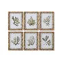 Cadre Home ESPRIT Vert Beige Doré Plantes botaniques 28 x 2,8 x 36 cm (6 Unités) de Home ESPRIT, Impressions sur toile - Réf ...