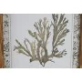 Bild Home ESPRIT grün Beige Gold Botanische Pflanzen 28 x 2,8 x 36 cm (6 Stück) von Home ESPRIT, Leinwanddrucke - Ref: S30579...