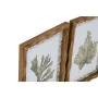 Bild Home ESPRIT grün Beige Gold Botanische Pflanzen 28 x 2,8 x 36 cm (6 Stück) von Home ESPRIT, Leinwanddrucke - Ref: S30579...