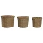 Set of Planters Home ESPRIT Brown Metal Fibre Tropical 36 x 36 x 29 cm by Home ESPRIT, Cachepots - Ref: S3058149, Price: 38,8...