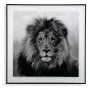 Cadre Versa Lion Verre 2 x 50 x 50 cm de Versa, Décorations murales - Réf : S3403598, Prix : 18,53 €, Remise : %