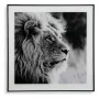 Cadre Versa Lion Verre 2 x 50 x 50 cm de Versa, Décorations murales - Réf : S3403660, Prix : 18,53 €, Remise : %