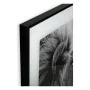 Cadre Versa Lion Verre 2 x 50 x 50 cm de Versa, Décorations murales - Réf : S3403660, Prix : 18,53 €, Remise : %