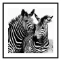 Quadro Zebra Vetro (2 x 50 x 50 cm) di Versa, Frontoni - Rif: S3404451, Prezzo: 18,53 €, Sconto: %