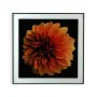 Cuadro Versa Flor Cristal Poliestireno (2 x 60 x 40 cm) de Versa, Frontones decorativos - Ref: S3407693, Precio: 14,80 €, Des...