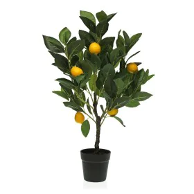 Planta Decorativa Versa 15 x 65 x 15 cm Plástico de Versa, Plantas - Ref: S3410674, Preço: 30,30 €, Desconto: %