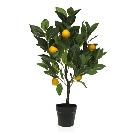 Planta Decorativa Versa 15 x 65 x 15 cm Plástico de Versa, Plantas - Ref: S3410674, Precio: 27,27 €, Descuento: %