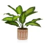 Decorative Plant Versa 15 x 48 x 15 cm Cement Plastic by Versa, Artificial Plants - Ref: S3410678, Price: 20,42 €, Discount: %