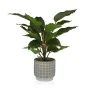 Plante décorative Versa Ciment Plastique 15 x 47 x 15 cm de Versa, Plantes artificielles - Réf : S3410680, Prix : 21,79 €, Re...