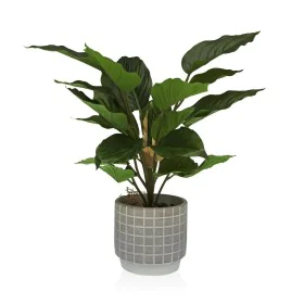 Planta Decorativa Versa Cemento Plástico 15 x 47 x 15 cm de Versa, Plantas - Ref: S3410680, Precio: 24,21 €, Descuento: %