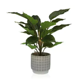 Planta Decorativa Versa Cimento Plástico 15 x 47 x 15 cm de Versa, Plantas - Ref: S3410680, Preço: 21,79 €, Desconto: %