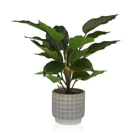 Planta Decorativa Versa Cemento Plástico 15 x 47 x 15 cm de Versa, Plantas - Ref: S3410680, Precio: 21,79 €, Descuento: %