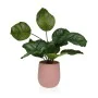 Planta Decorativa Versa 15 x 44 x 15 Cemento Plástico de Versa, Plantas - Ref: S3410681, Precio: 17,70 €, Descuento: %