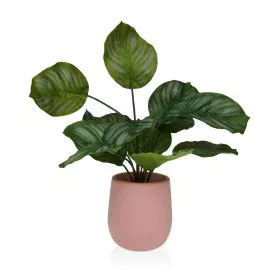 Plante décorative Versa 15 x 44 x 15 Ciment Plastique de Versa, Plantes artificielles - Réf : S3410681, Prix : 19,66 €, Remis...