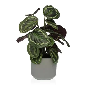 Plante décorative Versa 15 x 40,5 x 15 cm Ciment Plastique de Versa, Plantes artificielles - Réf : S3410685, Prix : 24,21 €, ...