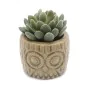 Planta Decorativa Versa Cerâmica Plástico 7,62 x 10,16 x 7,62 cm de Versa, Plantas - Ref: S3411003, Preço: 9,22 €, Desconto: %