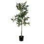 Plante décorative Versa Métal Plastique Ciment 41 x 122 x 43 cm de Versa, Plantes artificielles - Réf : S3411656, Prix : 32,7...