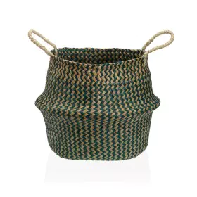 Cesta Decorativa Versa Verde Algas marinhas Ø 28 cm de Versa, Cestos de arrumação - Ref: S3411704, Preço: 9,75 €, Desconto: %