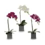 Pianta Decorativa Orchidea 15 x 43 x 18 cm Plastica di Ibergarden, Piante artificiali - Rif: S3603048, Prezzo: 6,51 €, Sconto: %