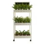 Shelves 3 Shelves (41 x 159 x 69 cm) by Ibergarden, Standing Shelf Units - Ref: S3605369, Price: 74,71 €, Discount: %