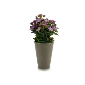 Plante décorative Plastique 11 x 22 x 11 cm de Ibergarden, Plantes artificielles - Réf : S3605658, Prix : 3,01 €, Remise : %