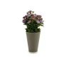 Plante décorative Plastique 11 x 22 x 11 cm de Ibergarden, Plantes artificielles - Réf : S3605658, Prix : 2,53 €, Remise : %