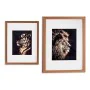 Cadre Tigre Lion Verre Bronze Contre-plaqué (33 x 3 x 43 cm) de Gift Decor, Décorations murales - Réf : S3606486, Prix : 12,3...