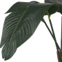 Decorative Plant 100 x 100 x 100 cm Bird of paradise by Ibergarden, Artificial Plants - Ref: S3611143, Price: 46,26 €, Discou...