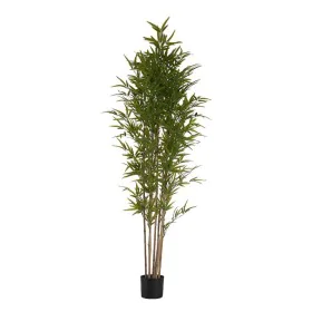 Plante décorative Bambou Plastique Câble de fer 80 x 180 x 80 cm de Ibergarden, Plantes artificielles - Réf : S3611148, Prix ...